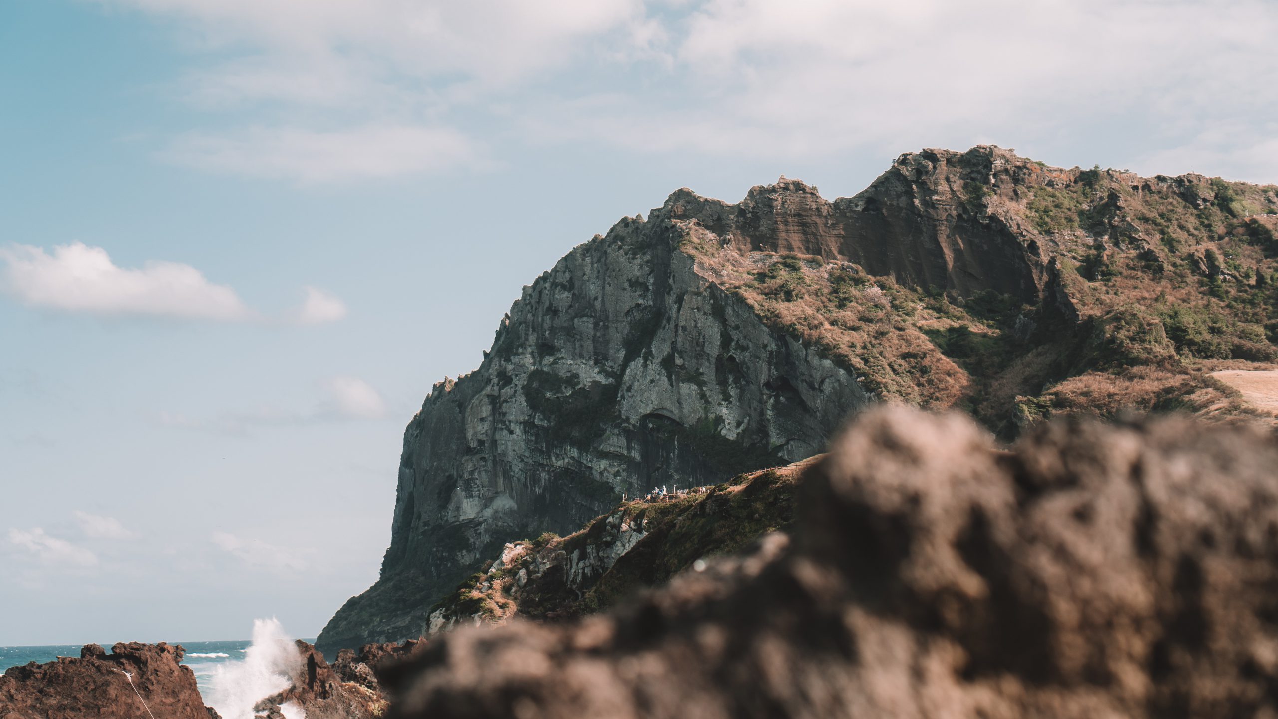 felix-wiedemann-jTSj0ji94Gg-unsplash